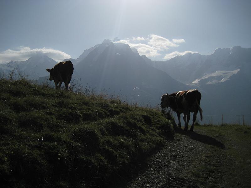 20110821_Mueren_Lauterbrunnen-008.JPG