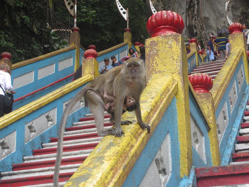 20131011_103234_Batu_Caves_KL.jpg - Batu Caves