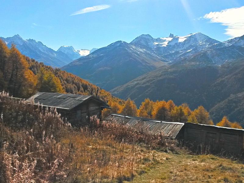 20141101_123226.jpg - 1.11. Wanderung oberhalb Eison im herbstlichen Val d'Hérens - Alpage Lovengo