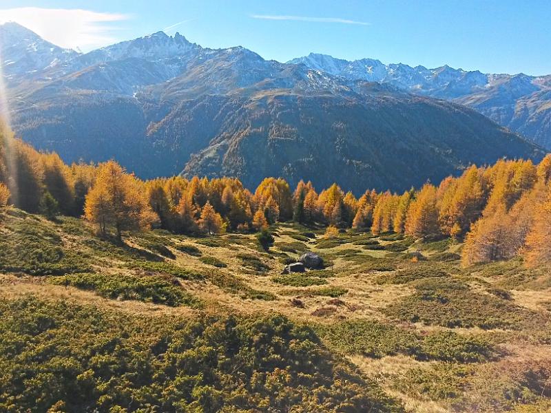 20141101_130306.jpg - 1.11. Wanderung oberhalb Eison im herbstlichen Val d'Hérens