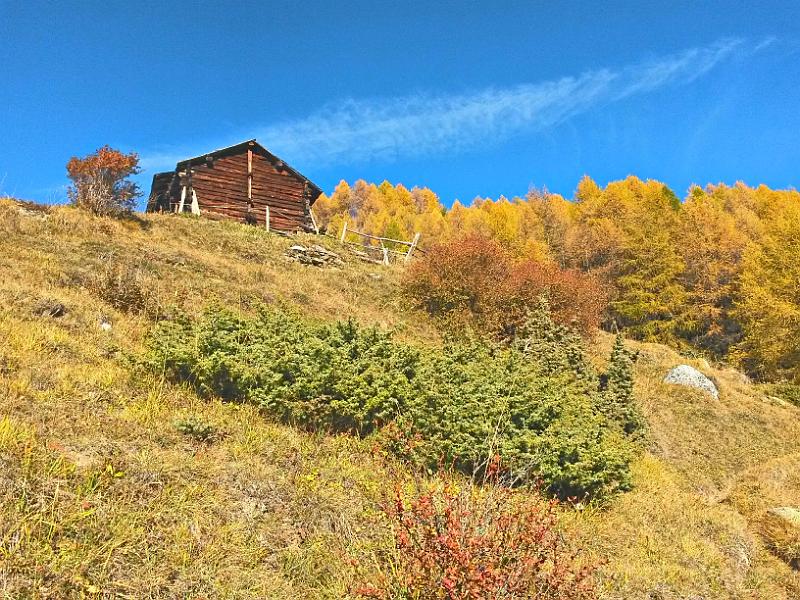 20141101_141419.jpg - 1.11. Wanderung oberhalb Eison im herbstlichen Val d'Hérens