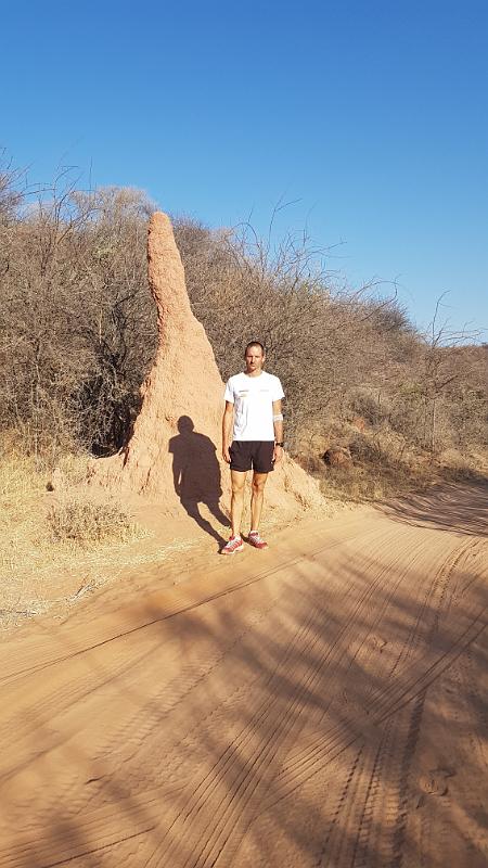 20160923_171223.jpg - 23.9. Termittenhügel beim Waterberg Plateau Camping