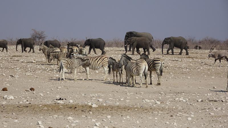 20160924_160654.JPG - 24.9. Dolmietpunt Waterhole, Etosha NP