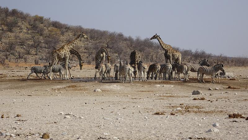 20160924_161143.JPG - 24.9. Dolmietpunt Waterhole, Etosha NP