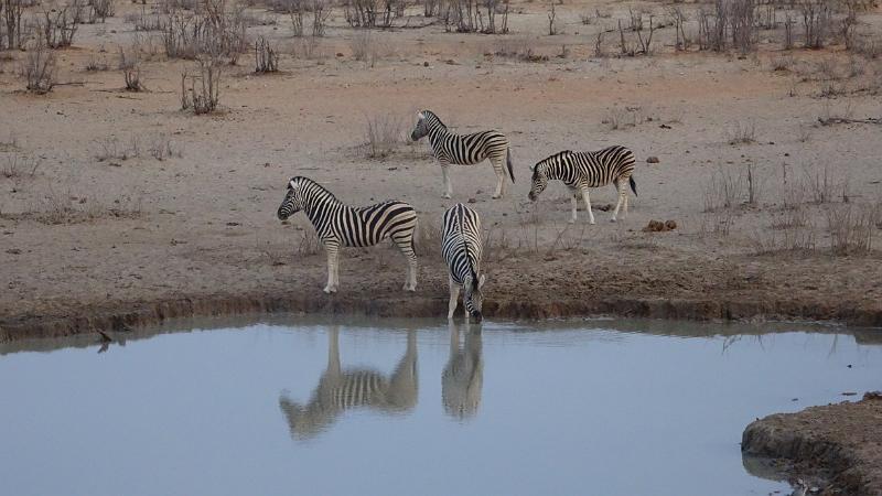 20160925_070631.jpg - 25.9. Olifantsrus Camp, Etosha NP