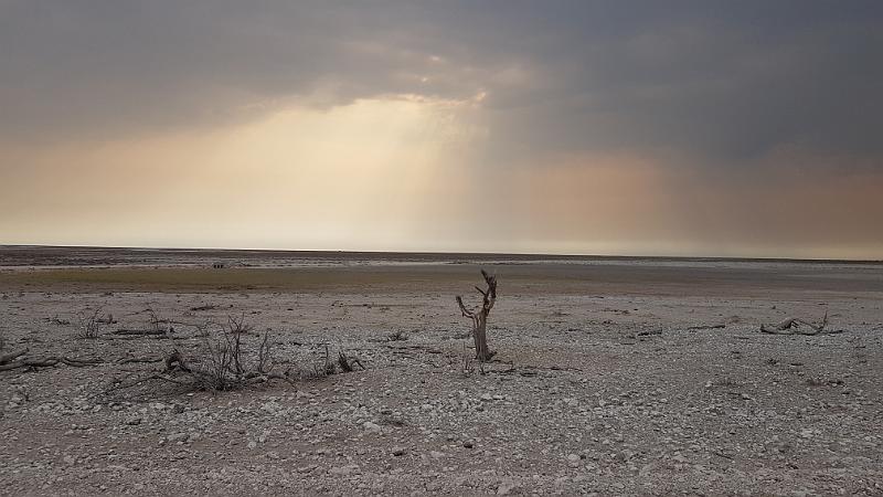 20160926_082736.jpg - 26.9. Etosha NP