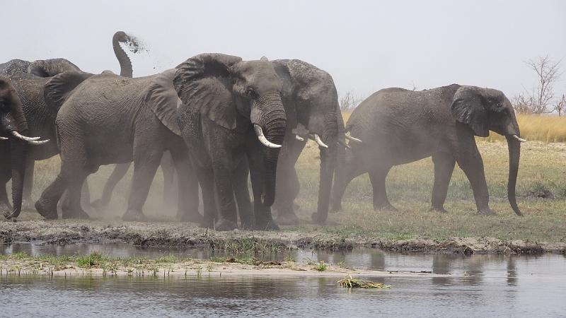 20160929_133319.JPG - 29.9. Overnight Bootst-Safari auf Kwando (Mashi River Safari)