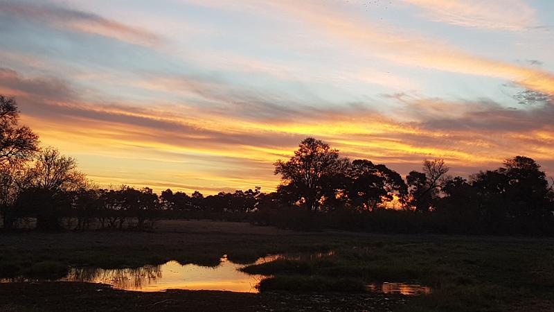 20161006_182858.jpg - 6.10. Sunset am Khwai River, North Gate, Moremi GR