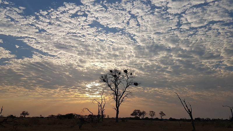 20161008_064446.jpg - 8.10. Morgenstimmung nördlich von Third Bridge, Moremi GR, Okavanga Delta